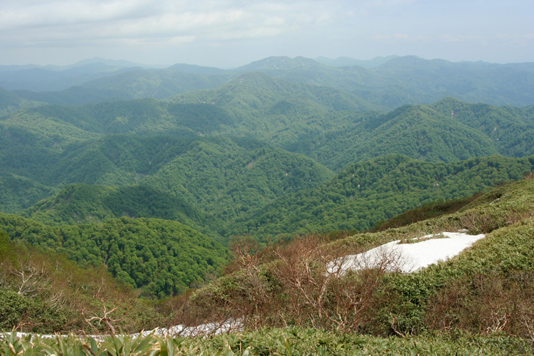 白神岳山頂から見た二ッ森、藤里駒ヶ岳方面の写真