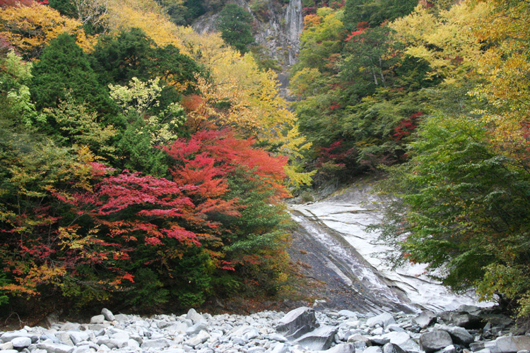 西のナメ沢出合の滝と紅葉の写真