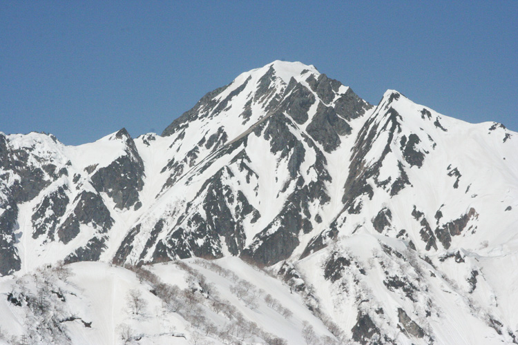 遠見尾根から見た五竜岳の写真