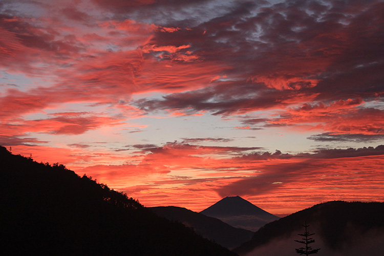 シルエットの富士山とあかね色に色づいた雲の写真