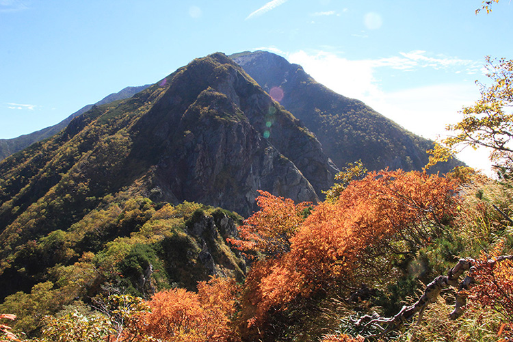 兎岳方面から見たナナカマドと聖岳の写真