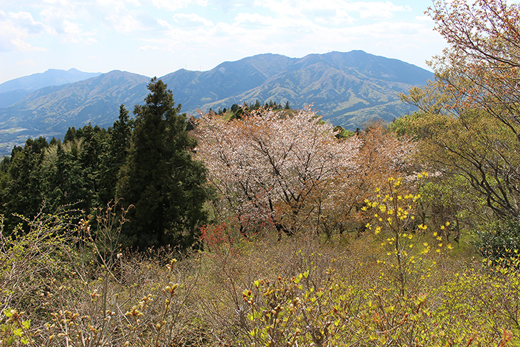 吾国山から見た加波山と筑波山の写真