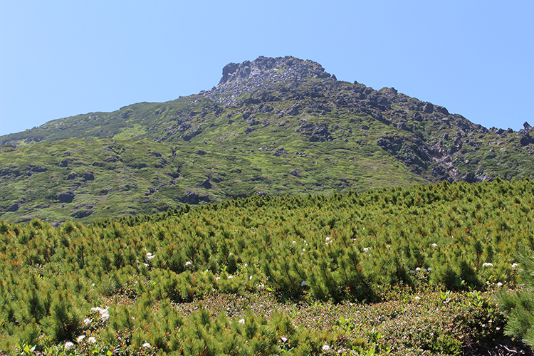 羅臼平の上部から見た羅臼岳の写真