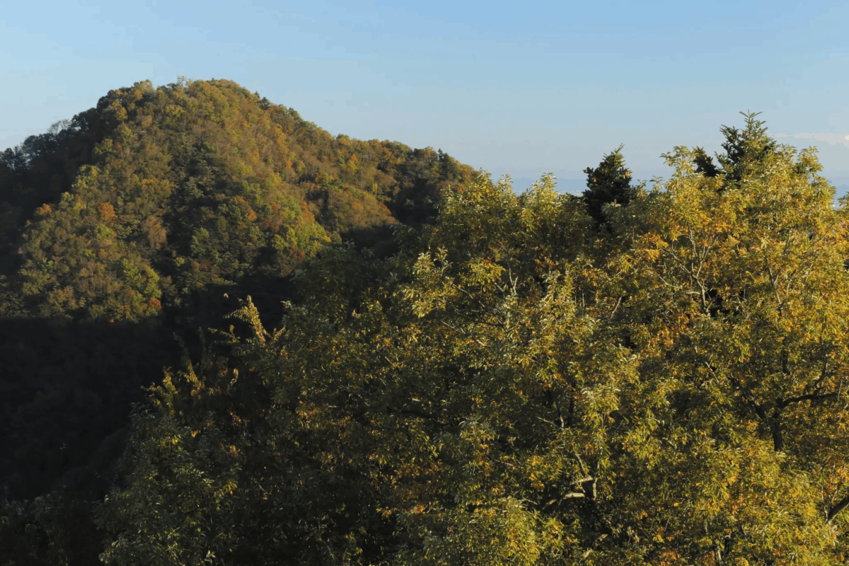 仏果山の写真
