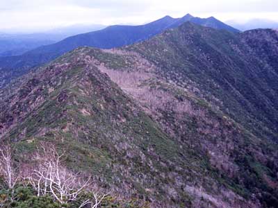 gcR