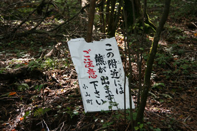 oRɂN}̒ӊŔ̎ʐ^