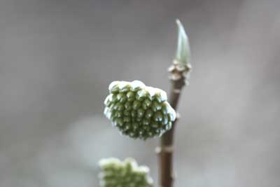 ~c}^̂ڂ݂̎ʐ^