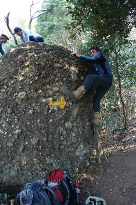 ڂoĂe̎ʐ^