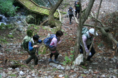 沢の右岸側を登っている写真