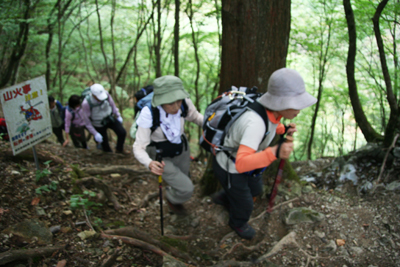 稲村岩尾根に上がってきたところの写真