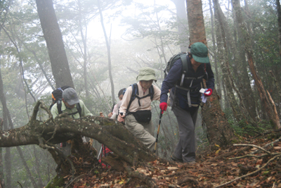 山頂直下を登っている写真
