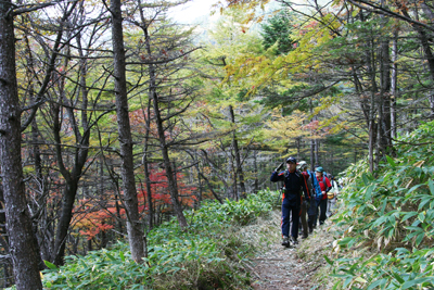 紅葉が美しいところを歩いている写真