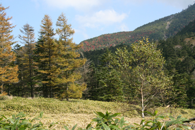 紅葉の美しい山腹と手前の草原などの写真