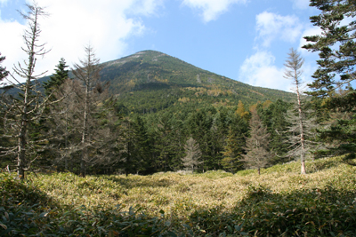 蓼科山の写真
