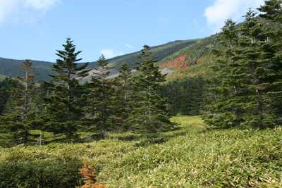 紅葉が美しい山腹周辺の写真