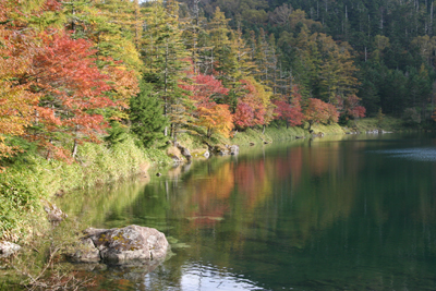雄池に映る紅葉した樹木の写真