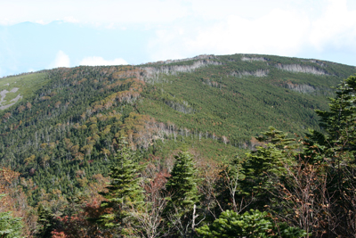 蓼科山への登りから見た前掛山の写真
