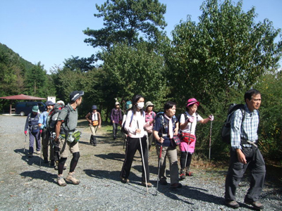 みかん山へ車道を登っている写真
