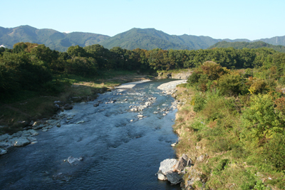 金石水管橋から見た荒川下流側の写真