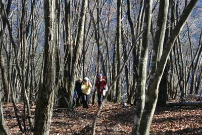 鹿倉山の山頂を目指して登っている写真