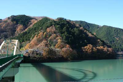 深山橋のバス停近くから見た大寺山と深山橋と奥多摩湖の写真