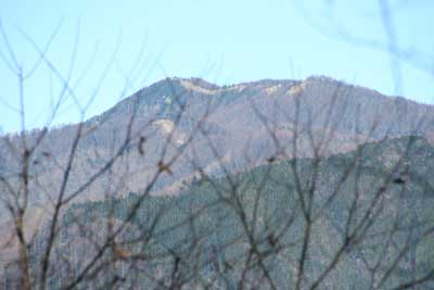 雲取山の写真