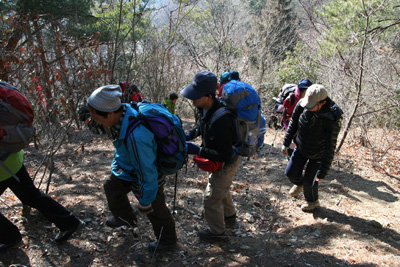 大善寺から急な登山道を登っている写真