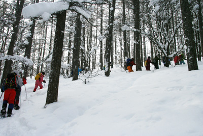 雪の山腹を登っている写真