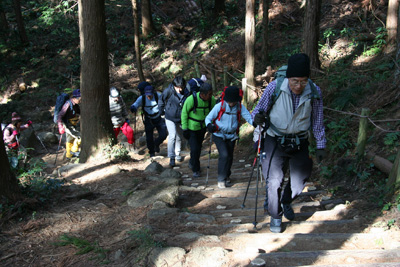神社からの登山道を登り始めた写真