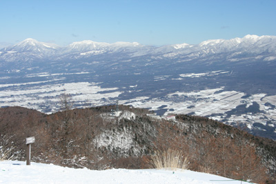 北八ヶ岳の写真