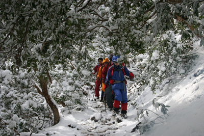 下部もすっかり雪景色となった登山道を下っている写真