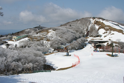 御在所岳山頂のスキー場と桜の花のような樹氷の写真