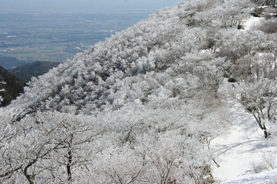 御在所岳山頂付近の一面の樹氷の写真