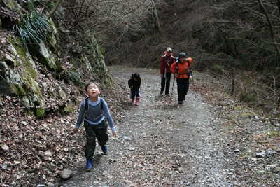 長い林道にそろそろ開き始めた子どもたちの写真