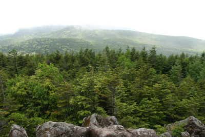 中小場から見た丸山・中山方面の写真