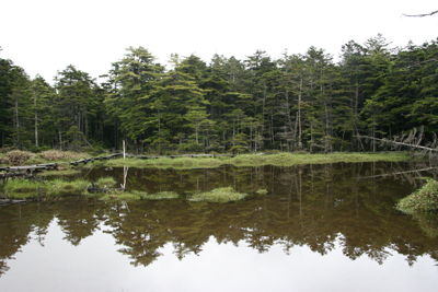 麦草峠の茶水池の写真