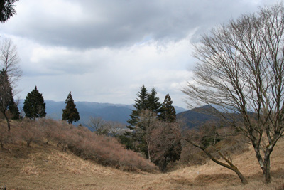 まだ冬枯れの木々と遠くの山波の写真