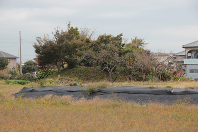 塚原の古墳群にある古墳の写真