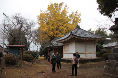 龍角寺の敷地内で見学している写真
