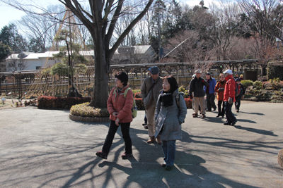 ぼたん園の中を歩いている写真