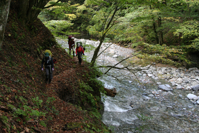 東沢の登山道を歩いている写真