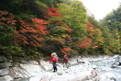 紅葉が美しいところを歩いている写真