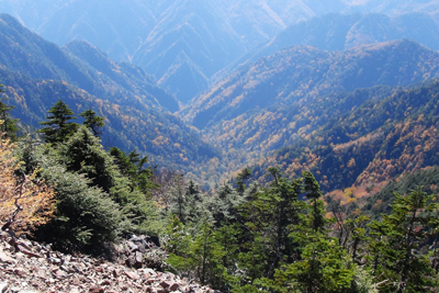 甲武信岳山頂から俯瞰した釜の沢の写真