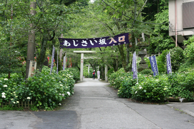 アジサイ坂入口の写真