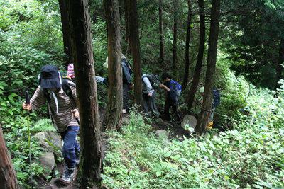 小野子山への登山道を登っている写真