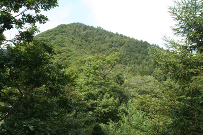 小野子山の写真