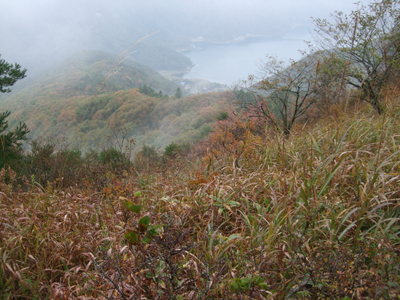 草紅葉と西湖の写真