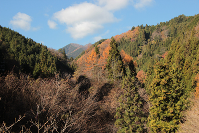 バス停近くの橋の上から見た三頭山方面の写真