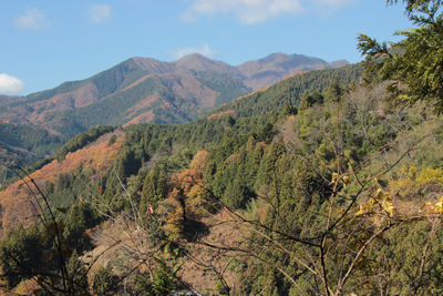 数馬分岐への登りから見た三頭山の写真