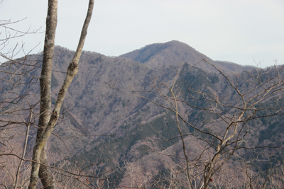 加入道山と大室山の写真
